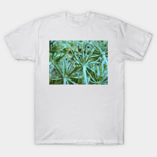 Nature's intricate design T-Shirt